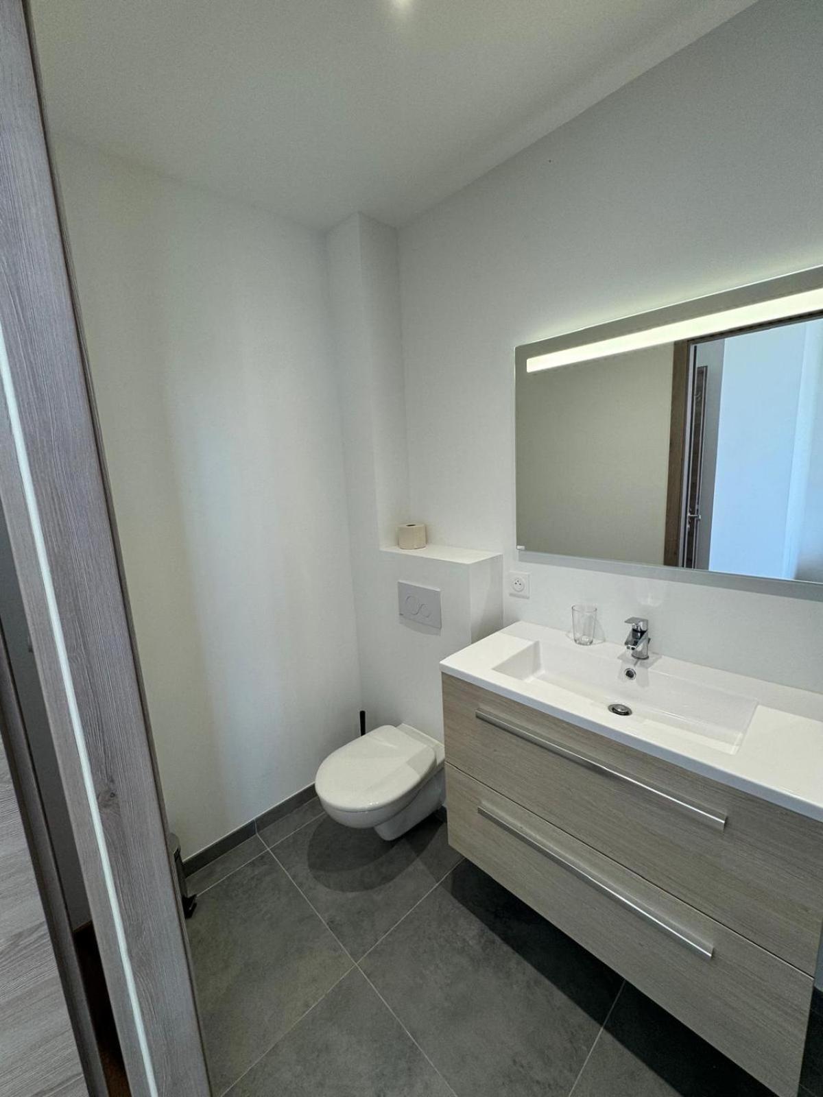 Studio Avec Wc Et Sdb Prives Dans Grande Maison A Cote Du Campus Artem - Thermal Et Parc Des Expos Вандевр-ле-Нансі Екстер'єр фото